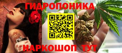 прущий лед Шебекино
