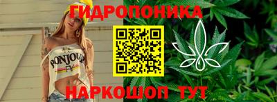 шишки Шахты