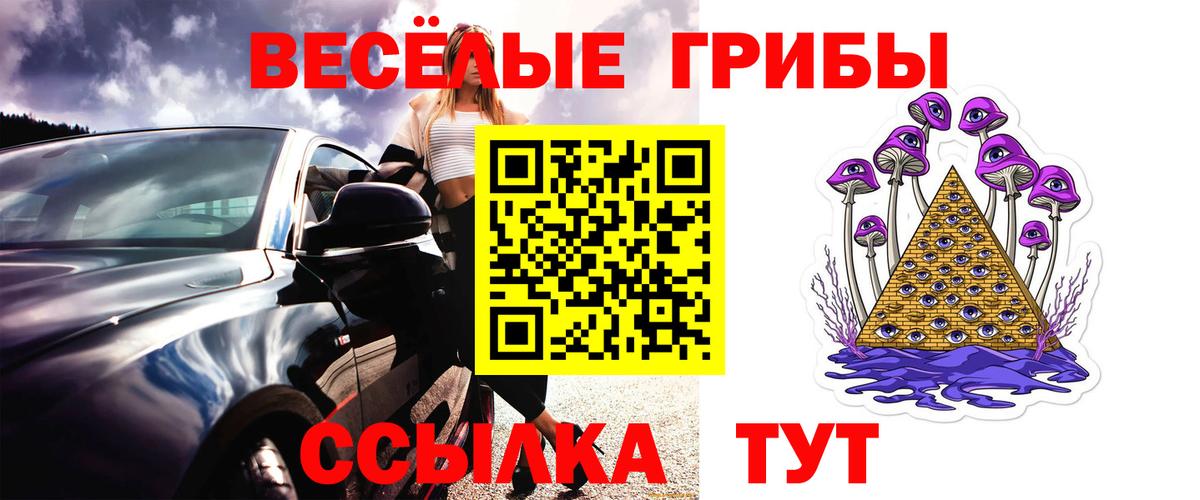Псилоцибиновые грибы GOLDEN TEACHER  Псилоцибиновые грибы MAGIC MUSHROOMS  Вход с VPN  Артём 