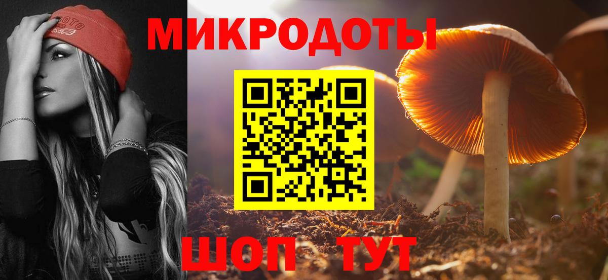 Псилоцибиновые грибы Magic Shrooms Артём